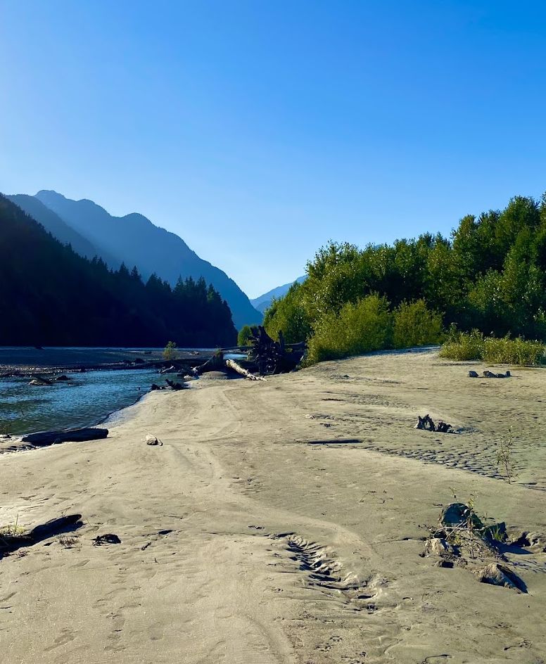 The campground's sandy beach on the Squamish River with mountains behind