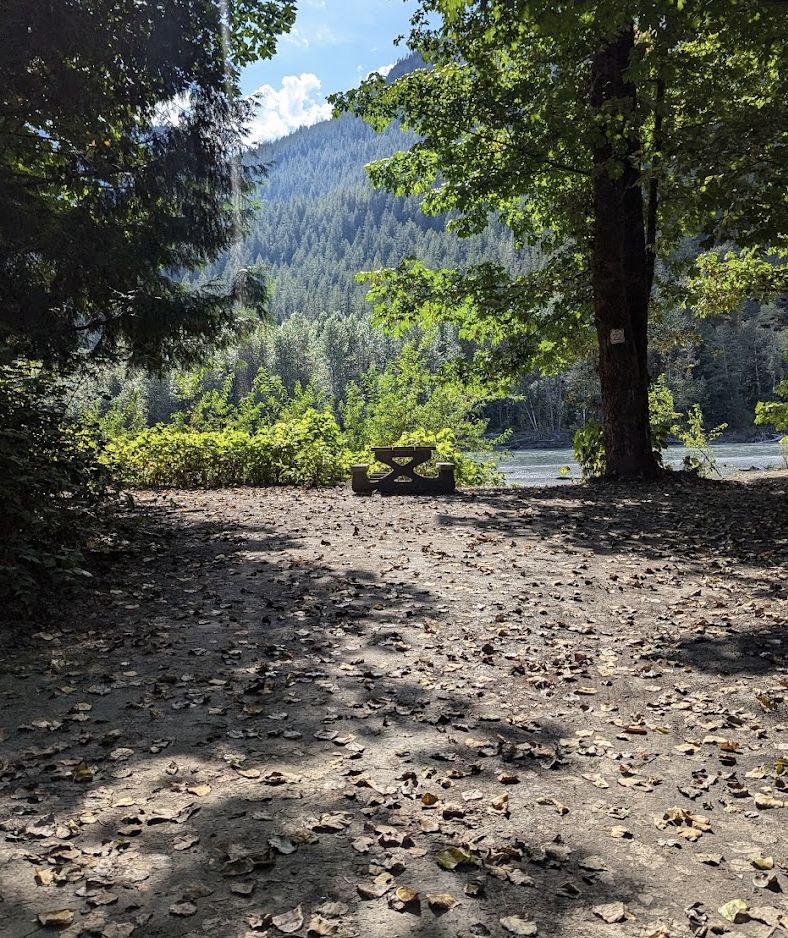 A shaded campsite clearing with a picnic table and the river beyond