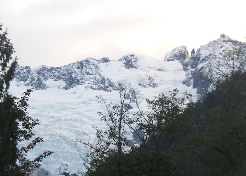 A glacier and icefall below rocky peaks, seen through the trees